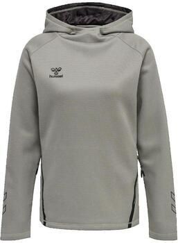 Hummel Capuchon sweaters Sweat à capuche Cima XK