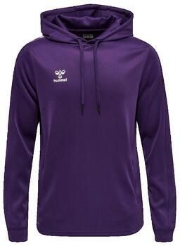 Hummel Capuchon sweaters Sweat à capuche Core XK Poly