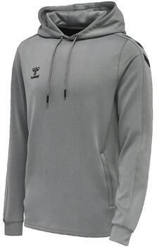 Hummel Capuchon sweaters Sweat à capuche hmlCORE XK Poly