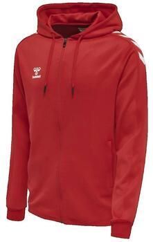 Hummel Capuchon sweaters Sweat à capuche hmlCORE XK Poly Zip