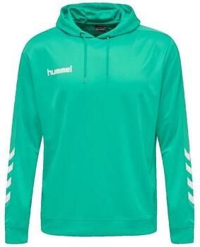 Hummel Capuchon sweaters Sweat à capuche Promo Poly vert