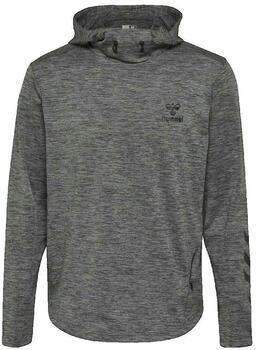 Hummel Capuchon sweaters Sweat-shirt Aston Hoodie