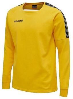 Hummel Sweaters Sweat Authentic Training Jaune