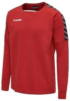Hummel Sweaters Sweat-shirt Authentic Training
