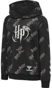 Hummel Sweater Sweatshirt à capuche enfant Harry Potter