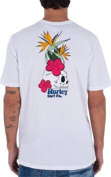 Hurley T-shirt Korte Mouw MTS0035240