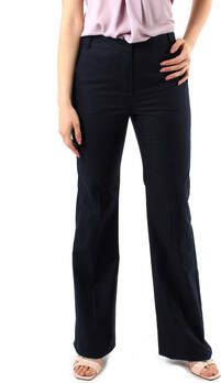 Iblues Harembroek FERRARA