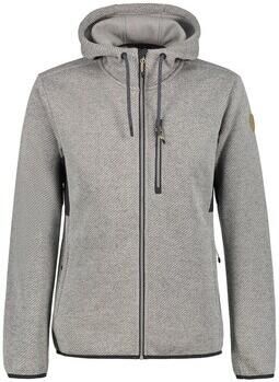 Icepeak Capuchon sweaters 957662655I810