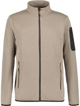 Icepeak Fleece Jack 857874664I245GRAU