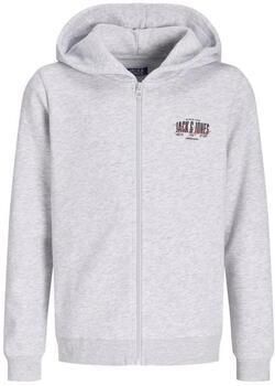 Jack & jones Capuchon sweaters Jack & Jones Aero