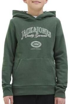 Jack & Jones Junior Hoodie JJARI BRANDING SWEAT HOOD JNR - Foto 8