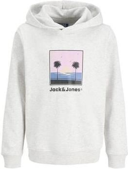 Jack & jones Capuchon sweaters Jack & Jones Hood