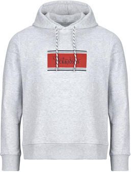 Jack & jones Capuchon sweaters Jack & Jones JJBUSTER SWEAT HOOD