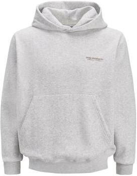 Jack & jones Capuchon sweaters Jack & Jones Joris