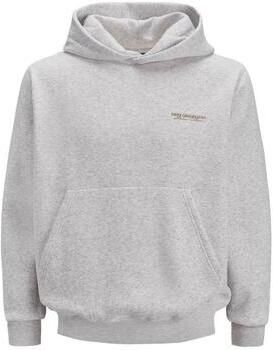 Jack & Jones Hoodie JORISLINGTON BACK SWEAT HOOD SN - Foto 2