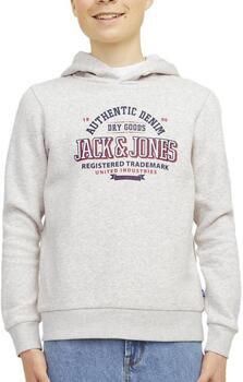 Jack & Jones Junior Hoodie JJELOGO SWEAT HOOD 2 COL 24 25 NOOS JNR - Foto 3