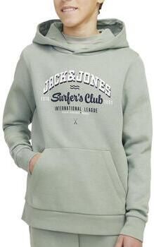 Jack & Jones Junior Hoodie JJELOGO SWEAT HOOD 2 COL 24 25 NOOS JNR - Foto 4
