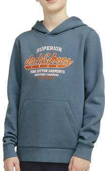 Jack & Jones Junior Hoodie JJELOGO SWEAT HOOD 2 COL 24 25 NOOS JNR