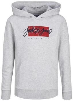 Jack & Jones Junior Hoodie JJTILEY SWEAT HOOD JNR