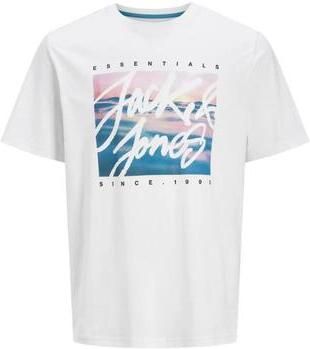 Jack & Jones PlusSize Shirt met print JJCOLTON PHOTOPRINT TEE SS CREW NE PLS