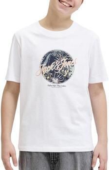 Jack & jones T-shirt Korte Mouw Jack & Jones Nolulu
