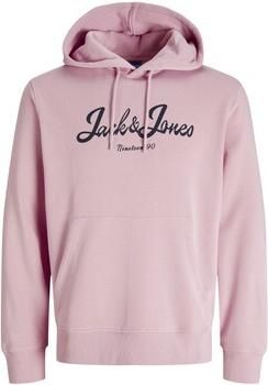 Jack & jones Trui Jack & Jones Jor Time Sweat Hood