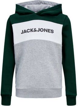 Jack & jones Sweater Jack & Jones 12173901 JJELOGO BLOCKING SWEAT HOOD NOOS JNR PINE GROVE