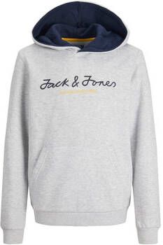 Jack & jones Sweater Jack & Jones 12216962 JCOBERG SWEAT HOOD SN JNR LIGHT GREY MELANGE