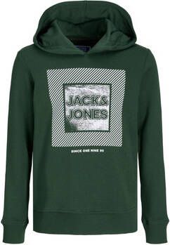 Jack & jones Sweater Jack & Jones 12237091 JJSTEIN SWEAT HOOD JNR MOUNTAIN VIEW