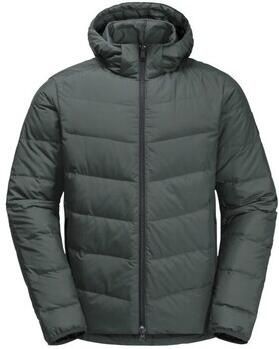 Jack Wolfskin Colonius Jacket Men RDS Donsjack Heren XXXL slate green slate green - Foto 2