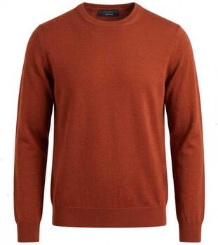 Jeordie's Trui 86610 GIRO ACID S TOPPE-642 ARABO