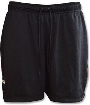 Nike Korte Broek Air Jordan Aj5 Mesh Gfx