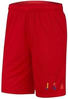 Nike Korte Broek Air Jordan Dna Shorts