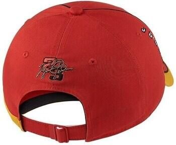 Nike Pet Air Jordan Jump Legacy91