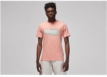 Nike T-shirt Korte Mouw Air Jordan Brand Graphic