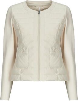 JOTT Donsjas ALMERIA