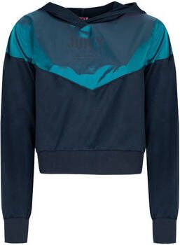 Juicy Couture Sweater JWTKT179501 | Pullover