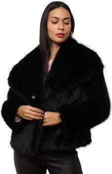 La Modeuse Windjack 72182_P169631