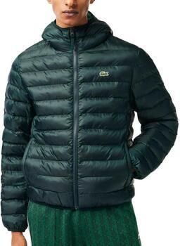 Lacoste Gewatteerde jas Van groen