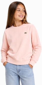 Lacoste Sweaters SJ2898