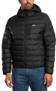 Lacoste Technische jassen Pufferjack met logo