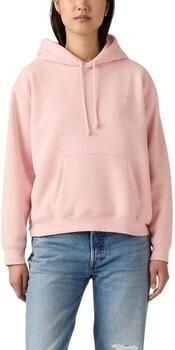 Levi's Hoodie EVERYDAY HOODIE