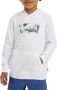 Levi's Kidswear Hoodie for boys - Thumbnail 1