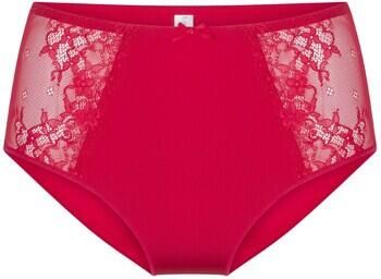 Lingadore Slips DAILY Slip