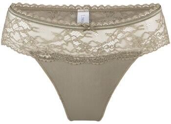 Lingadore Strings DAILY String