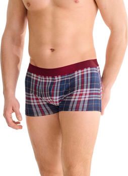 Lisca Boxers Boxer COSY NIGHTS