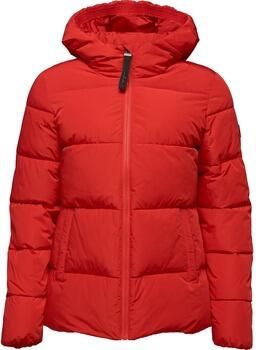 Loap Blazer jack oap tadarida rood