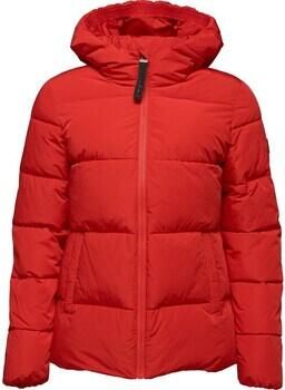 Loap Blazer Tadarida