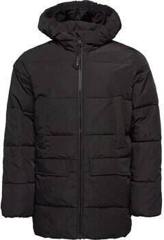 Loap Blazer Tambor