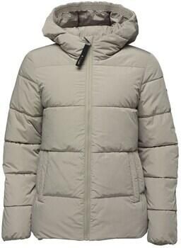 Loap Donsjas Tadarida